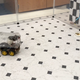 A screengrab from a video of a test subject rat piloting an electric vehicle.